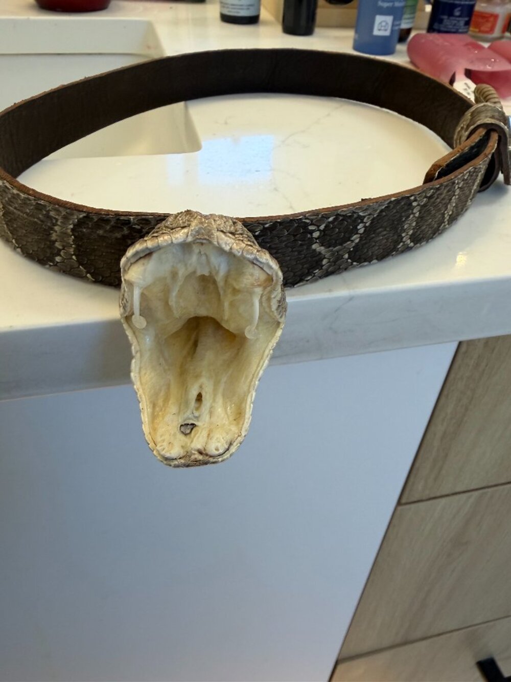 Genuine Taxidermy Rattlesnake Hatband – Real Head, Fangs & Rattle – Rare Western